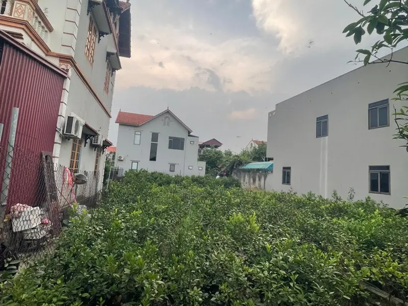 BÁN ĐẤT 60M² VĂN GIANG – HƠN 2 TỶ – Ô TÔ ĐỖ CỬA, SÁT TRỤC CHÍNH... Bán đất tại Văn Giang, Hưng Yên 01
