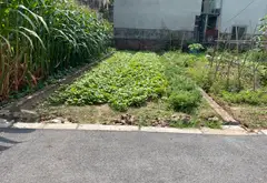 Bán đất thổ cư 66.3 m2, đường oto tránh Vân Nội, Đông Anh, gần phố Vân Trì, gần cầu Nhật Tân... Bán đất tại Phúc Thịnh, Hà Nội 03