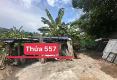 Đất Vàng Trung Tâm Bát Trang Sẵn Sàng Đón Đầu Cơ Hội Vàng... Bán đất tại An Lão, Hải Phòng 01