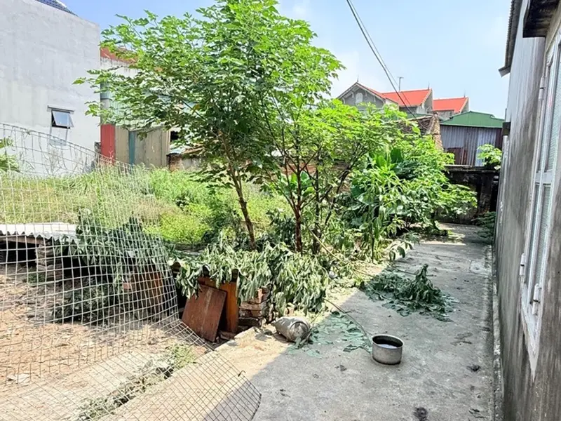 Mảnh đất đẹp trung tâm phường Từ Sơn, Bắc Ninh giá ưu đãi... Bán đất tại Từ Sơn, Bắc Ninh 01