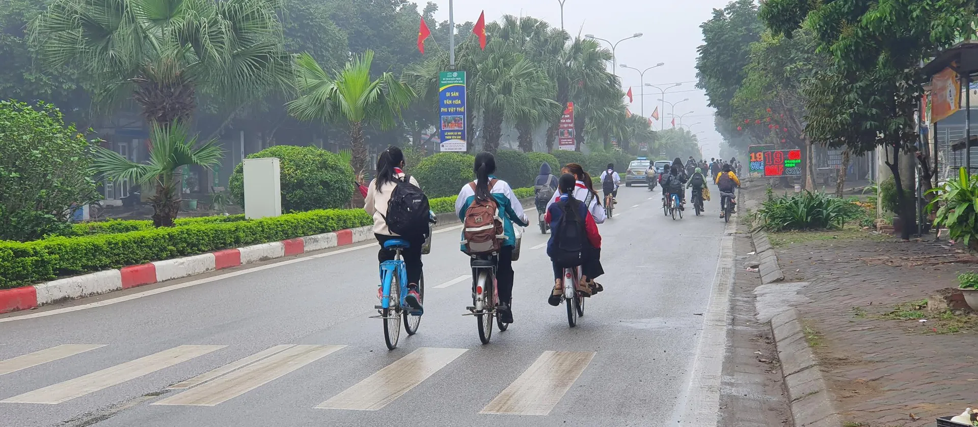 Cơ Hội Vàng Đầu Tư Đất Nền - Vị Trí Đắc Địa!... Bán đất tại Sóc Sơn, Hà Nội 01