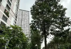 Căn hộ tầng áp mái đẳng cấp, tiện ích cực chất tại Phạm Văn Đồng... Bán căn hộ chung cư tại Đông Ngạc, Hà Nội 14