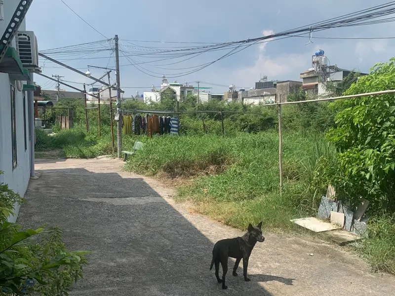 Cơ hội sở hữu nhà 2 tầng 4 phòng ngủ tại xã Tân Vĩnh Lộc với giá cực tốt... Bán nhà riêng tại Tân Vĩnh Lộc, Hồ Chí Minh 01