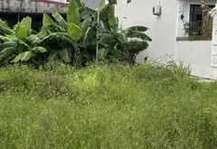 Bán đất mặt tiền rộng tại khu vực phát triển sôi động xã Thuận An... Bán đất tại An Dương, Hải Phòng 04