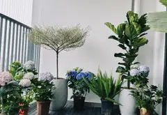 Căn hộ 3 ngủ 2 vệ sinh tại Đền Lừ . Hoàng Mai với thiết kế hiện đại , Giá Chỉ 10 Tỷ... Bán căn hộ chung cư tại Tương Mai, Hà Nội 03