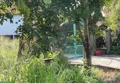 Đất nở hậu siêu đẹp tại Thái Mỹ, Củ Chi, giá sốc... Bán đất tại Thái Mỹ, Hồ Chí Minh 02
