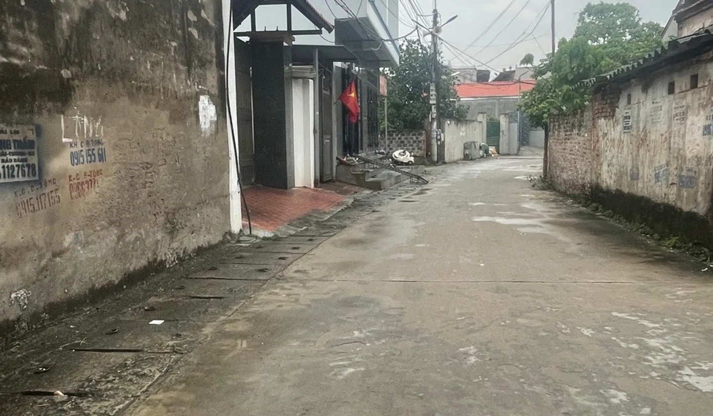 THÔN ĐÔNG MAI - LẠC ĐẠO - HƯNG YÊN... Bán đất tại Lạc Đạo, Hưng Yên 01