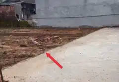 Bán Đất 84m² Tại Khu Vực Gần Giao Thông Thuận Tiện... Bán đất tại Sóc Sơn, Hà Nội 06