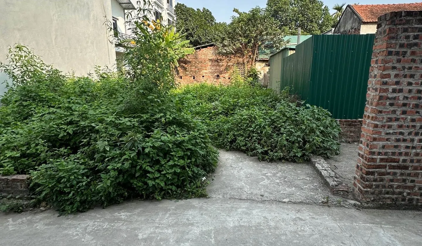 Bán đất Sơn Đồng, gần Đại lộ Thăng Long, ô tô đỗ cửa, diện tích 55m²... Bán đất tại An Khánh, Hà Nội 01