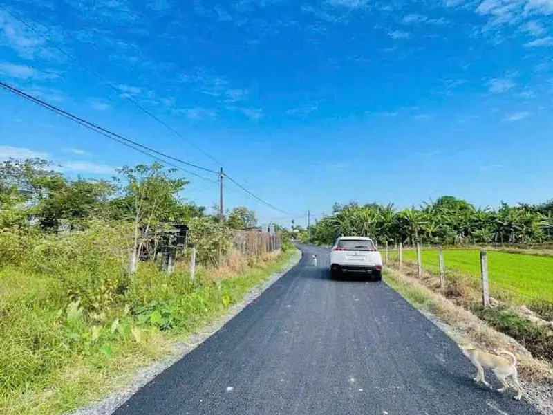 Đất mặt tiền rộng 6m, vị trí vàng tại Thái Mỹ, Củ Chi... Bán đất tại Thái Mỹ, Hồ Chí Minh 01