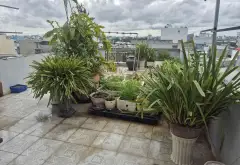 Bán nhà 3 tầng 129m2 tại phường Bình Tân, TP.HCM... Bán nhà riêng tại Bình Tân, Hồ Chí Minh 04