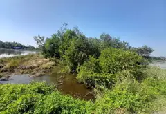 Bán nhà riêng diện tích lớn tại xã Xuân Thới Sơn, Hóc Môn... Bán nhà riêng tại Xuân Thới Sơn, Hồ Chí Minh 01