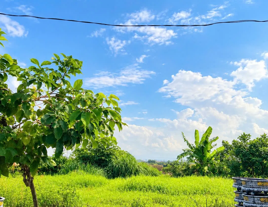 🔥 THIẾT TRỤ – MỄ SỞ | 85M² – MT 6M – NỞ HẬU – 4.X TỶ 🔥... Bán đất tại Văn Giang, Hưng Yên 01
