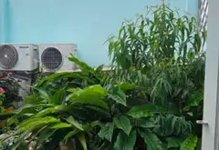 Nhà 5 Tầng Đẹp Mắt Ở Bình Tân - Tiện Nghi Đầy Đủ... Bán nhà riêng tại Bình Tân, Hồ Chí Minh 10