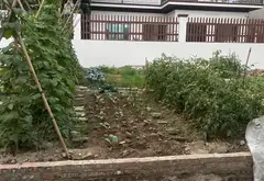 Đất đẹp ô tô đỗ cửa, ngõ rộng thông thoáng ở Tam Á, Thuận Thành... Bán đất tại Thuận Thành, Bắc Ninh 01