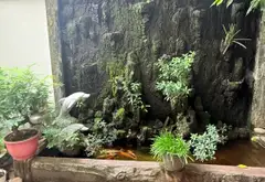 BIỆT THỰ GIẢM CHÀO 3 TỶ- 233M2- 10m23m- 4 TẦNG- SÂN VƯỜN- ĐƯỜNG NHỰA 12M- AN NINH... Bán nhà mặt phố tại Phước Long, Hồ Chí Minh 08