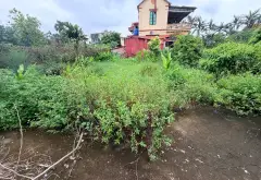 Đất Vàng Gần Nhà Văn Hóa Quán Trạch, xã văn giang Hưng Yên 75,8m2... Bán đất tại Văn Giang, Hưng Yên 05
