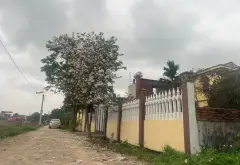 Thông số vàng đường thông ô tô đối diện khu đấu giá xuân lễ... Bán đất tại Kim Anh, Hà Nội 01