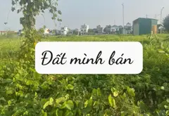 Đất đẹp rộng rãi, sổ sẵn cạnh Trường Mầm Non Thượng Hồng... Bán đất tại Thượng Hồng, Hưng Yên 04