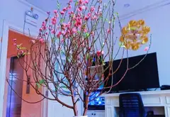 Bán nhà phố 5 tầng có thang máy, Trần Thị Nghỉ, Ciitylang, Gò Vấp, 27 tỷ... Bán nhà mặt phố tại Hạnh Thông, Hồ Chí Minh 04