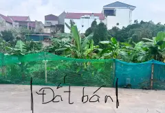 Bán đất 200m lê cao nghĩa trụ Hưng yên... Bán đất tại Văn Giang, Hưng Yên 02