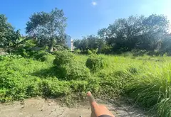 Đất phân lô mặt tiền rộng tại Văn Giang, Hưng Yên... Bán đất tại Văn Giang, Hưng Yên 02