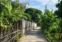 ĐẤT ĐẸP VỊ TRÍ VÀNG-DÂN CƯ VĂN MINH VỊ TRÍ THÔN MỸ DUỆ... Bán đất tại Lương Tài, Bắc Ninh 02