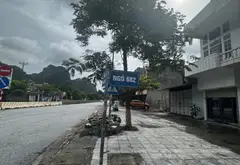 Đất đẹp Quang Hanh, cơ hội đầu tư lý tưởng... Bán đất tại Quang Hanh, Quảng Ninh 05