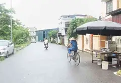 Đất Vàng Trà Lâm: Vị Trí Đẹp, Ô Tô Tránh Thoải Mái... Bán đất tại Song Liễu, Bắc Ninh 01