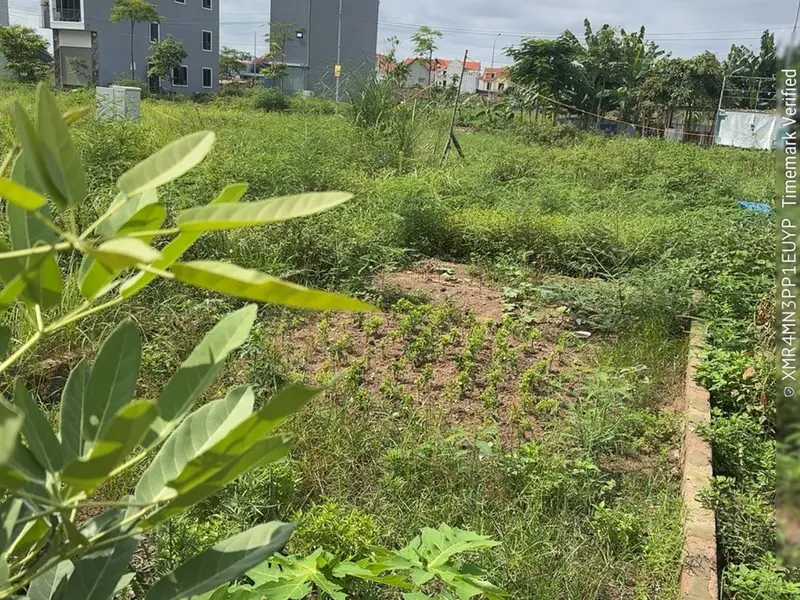 Lô Đất Vàng Tái Định Cư Điểm B, Thủy Nguyên - Nơi Đầu Tư Không Thể Bỏ Lỡ... Bán đất tại Thủy Nguyên, Hải Phòng 01