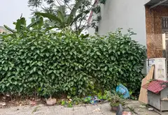 Cơ hội sở hữu đất thổ cư mặt tiền rộng giá đầu tư tại Đồng Kỵ... Bán đất tại Đồng Nguyên, Bắc Ninh 10