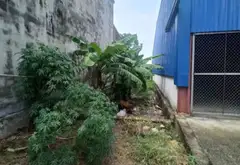 Đất nền lý tưởng sát sân vận động huyện An Lão, tiềm năng phát triển cao... Bán đất tại An Lão, Hải Phòng 02