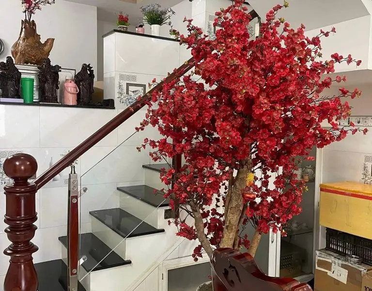 Cơ hội hiếm nhà 3 tầng mặt tiền hẻm kinh doanh Nguyễn Bặc, giá chỉ 8.35 tỷ... Bán owner_side tại Tân Sơn Hòa, Hồ Chí Minh 01