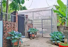 Lô đất Vàng tại Kênh Giang - Ngõ Ô Tô, Dân Cư Sầm Uất... Bán đất tại Lưu Kiếm, Hải Phòng 06