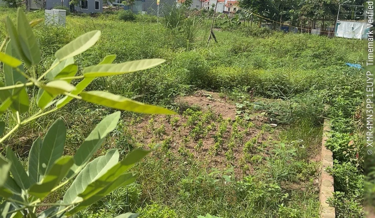 Cơ hội vàng sở hữu đất tái định cư vị trí đắc địa tại Thủy Nguyên... Bán đất tại Thủy Nguyên, Hải Phòng 01