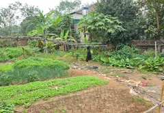 Bán nhà rộng 276m2 tại phường Chương Mỹ, mặt tiền gần 10m... Bán nhà riêng tại Chương Mỹ, Hà Nội 03