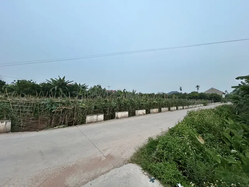 Đất đẹp 2 mặt thoáng ở Hoàn Long, Hưng Yên, giá hợp lý... Bán đất tại Hoàn Long, Hưng Yên 01