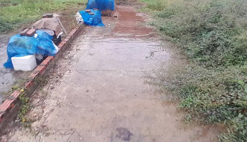 Bán đất thổ cư 80.3m² mặt tiền 5m tại xã Phù Linh, tiềm năng tăng giá cao... Bán đất tại Sóc Sơn, Hà Nội 01