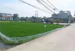Cơ hội hiếm có sở hữu đất thổ cư đẹp tại Nghi Khúc, giá trị tăng vọt... Bán đất tại Mão Điền, Bắc Ninh 05