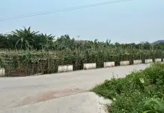 Đất đẹp 2 mặt thoáng ở Hoàn Long, Hưng Yên, giá hợp lý... Bán đất tại Hoàn Long, Hưng Yên 02