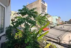Nhà 2 tầng tiện nghi gần Gagamall, giá tốt hiếm có... Bán nhà riêng tại Hiệp Bình, Hồ Chí Minh 11