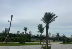 Cơ hội hiếm có sở hữu Shophouse mặt trục chính Hoàng Huy Green River... Bán Shophouse tại Thủy Nguyên, Hải Phòng 14
