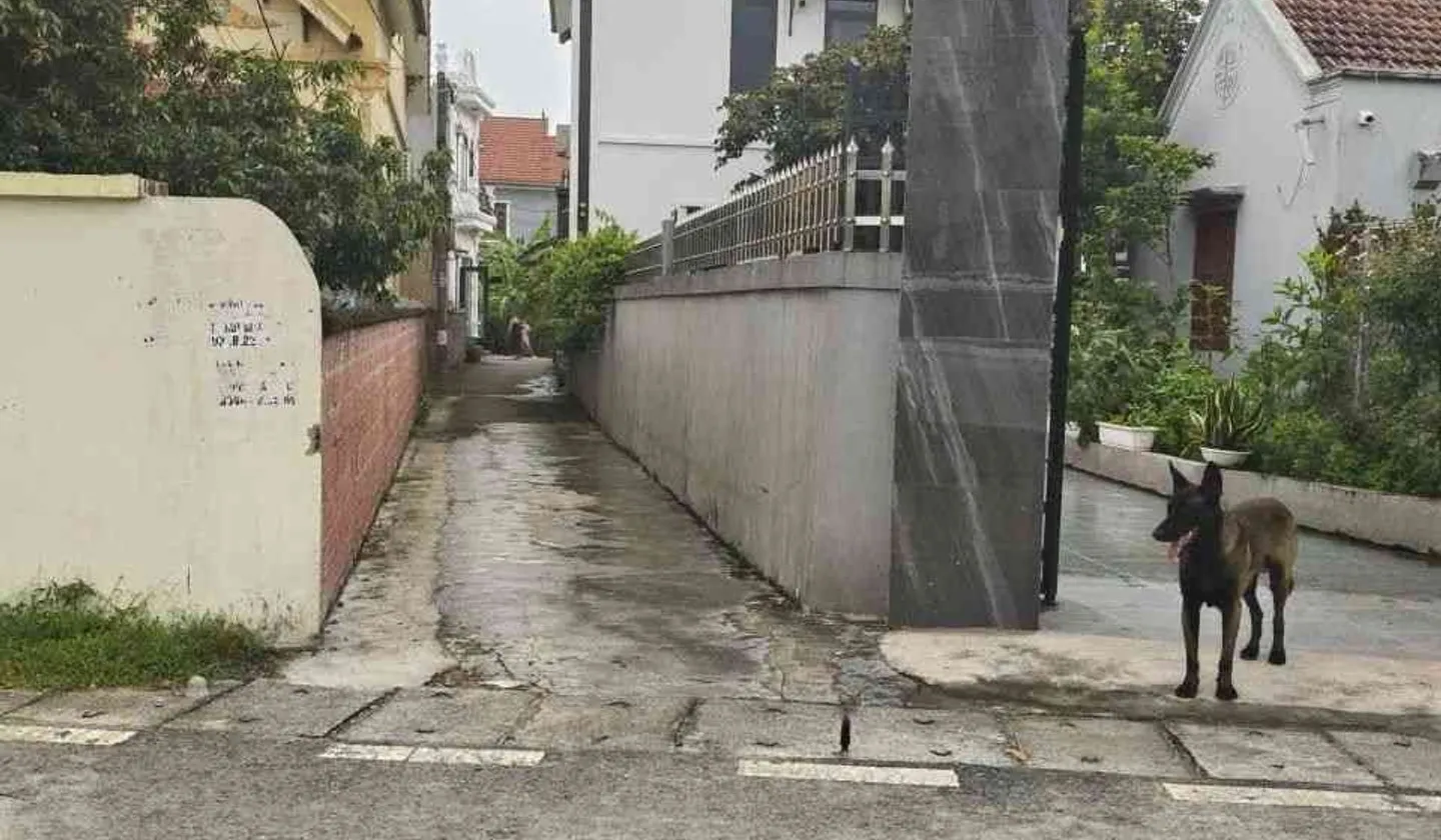 Bán đất thổ cư hướng Nam tại phường Lưu Kiếm, Hải Phòng, diện tích 59.9 m2... Bán đất tại Lưu Kiếm, Hải Phòng 01