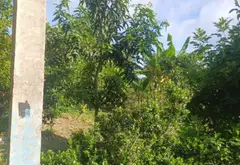 Bán đất rộng 5046m2 hướng Nam, mặt tiền 24m tại xã Vườn Thơm... Bán đất tại Bình Lợi, Hồ Chí Minh 12