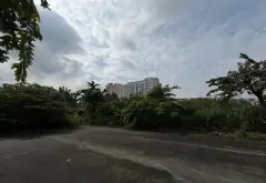 Đất Sát Rạch Giá Trị Cao 381m2 Long Trường Quận 9... Bán đất tại Long Trường, Hồ Chí Minh 03