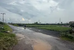 LK01, thửa đất 328 thôn Hoàng Trạch 68m2 Đất. Mặt tiền 5m. Dài 13,4m. Giá 4.3 tỷ... Bán đất tại Mễ Sở, Hưng Yên 03