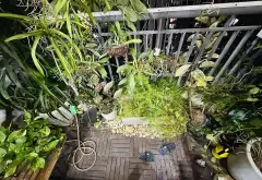 Gia chủ thiện trí tốt nhất khu chỉ 9.8 tỷ căn 95m2 chung cư Ecolife Tây hồ Khu Starlake Tây hồ Tây... Bán căn hộ chung cư tại Nghĩa Đô, Hà Nội 11