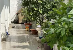 Nhà đẹp mặt phố 3 tầng tại phường Bình Đông, diện tích 173.7m2, 3 mặt tiền, giá 16.9 tỷ... Bán nhà mặt phố tại Bình Đông, Hồ Chí Minh 02