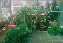 Nhà mặt phố Bình Tân giá hời, cho thuê ổn định... Bán nhà mặt phố tại An Lạc, Hồ Chí Minh 14