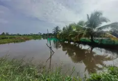 Trương Văn Đa,Đường Đá Xanh Xe Ba Gác Tới Đất
BÁN 1 CÔNG ĐẤT LUK GIÁ 3 TỶ... Bán đất tại Bình Lợi, Hồ Chí Minh 08